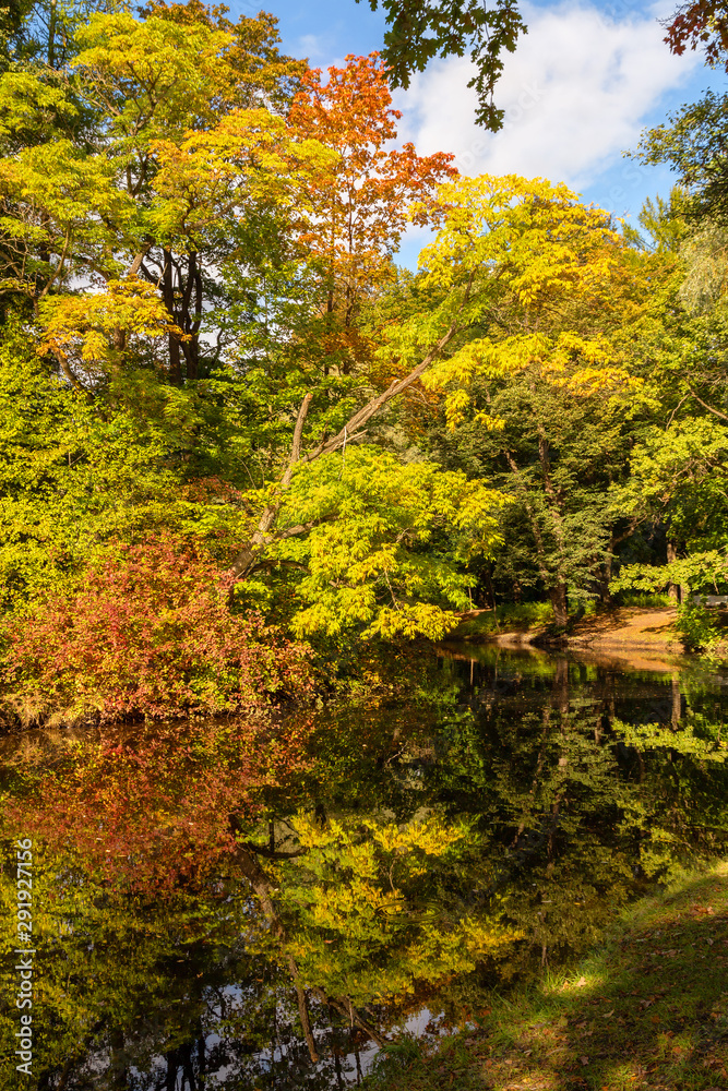 Autumn colors. Trees and colorful leaves are reflected in a pond or lake. Magnificent landscape in a quiet park on a sunny warm day