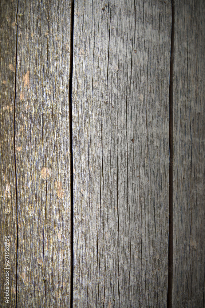 Dark brown wooden log texture. Wood background. Old raw wood. Dark brown wooden log texture. Wood background. Old raw wood.