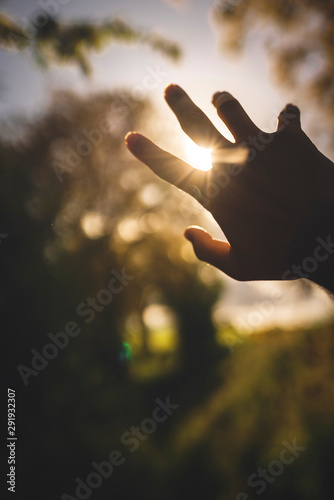 Hand im Gegenlicht