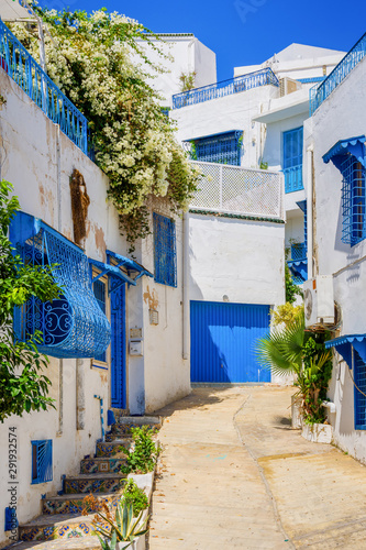 narrow streets of the city in the Andalusian style in white-blue colors © Nemo67