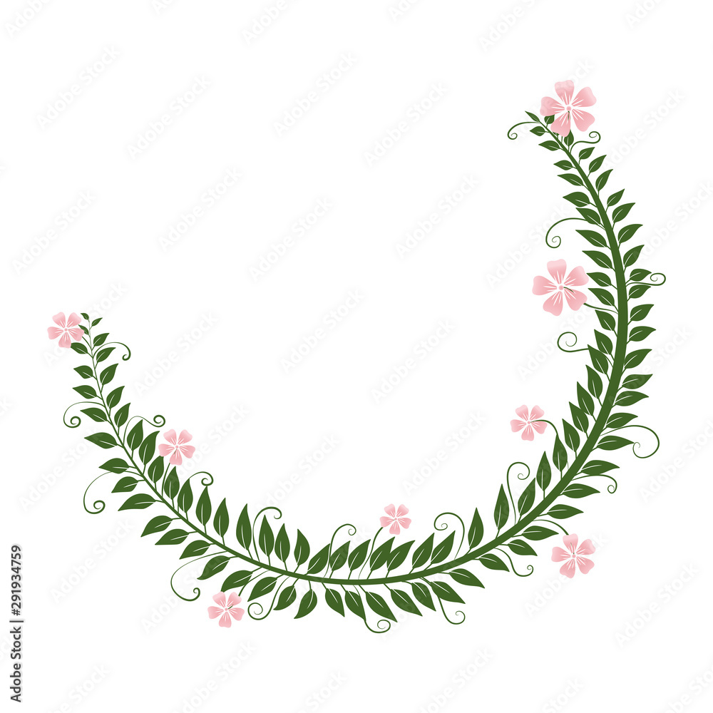 Branches with  leaves and flowers on a white background.