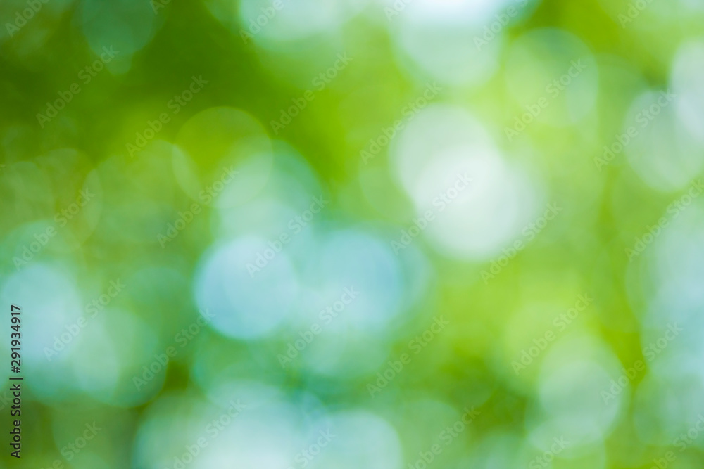 green nature blur bokeh background green nature blur bokeh background