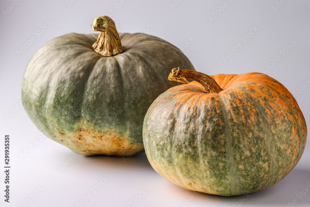 Pumpkins of green and orange on a white background with a shadow, Autumn still life, Halloween minimal concept, Horizontal orientation Pumpkins of green and orange on a white background with a shadow, Autumn still life, Halloween minimal concept, Horizontal orientation