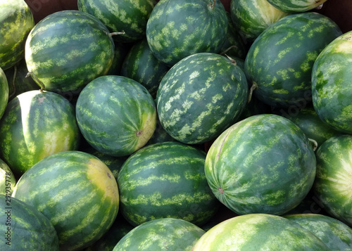 Pile of imperfect watermelons at a farmers market.