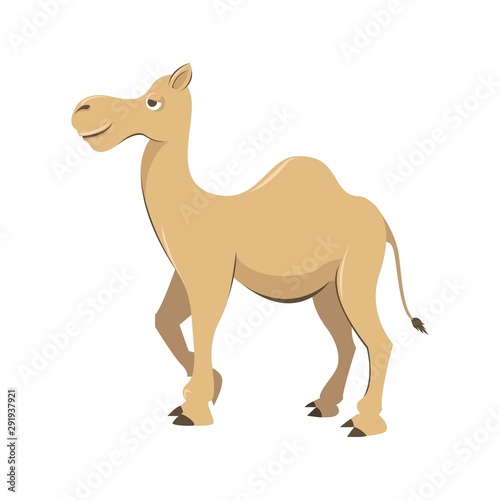 Camel Cartoon Illustration