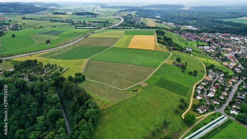 Fototapeta Naklejka Na Ścianę i Meble -  Aerial view of agricultural green and yellow fields trees, houses, road around Rhein river near border between Switzerland and Germany.
