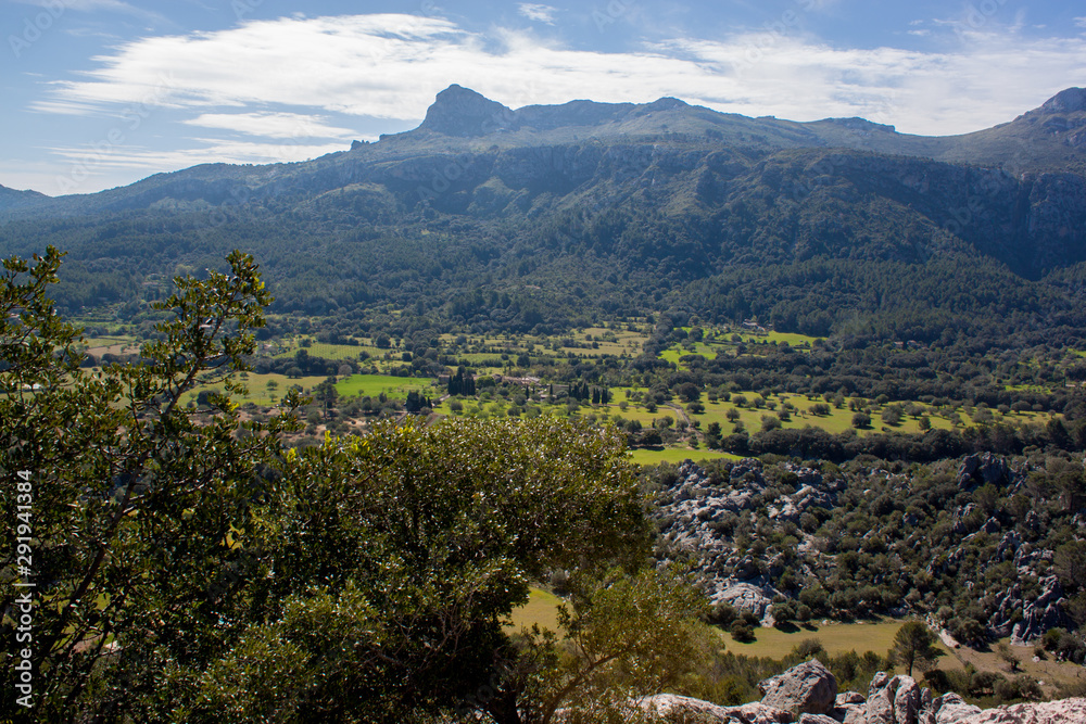 Mallorca panorama view on the valley with forest 