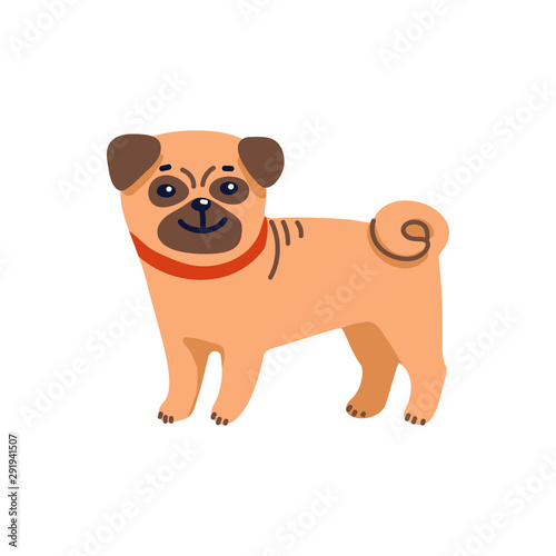 Happy cartoon puppy pug on white background. Dog beauty salon. Funny puppy ch...