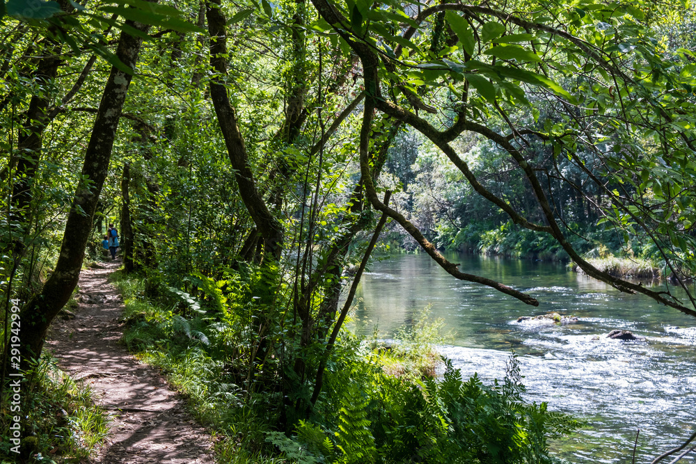 Arc natural Fragea de Eume, Galice, Espagne.