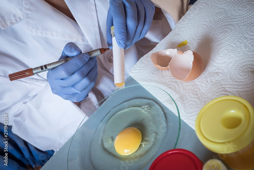 Scientist at laboratory investigates the crisis caused by the fraud of the contaminated eggs with fipronil in Spain photo