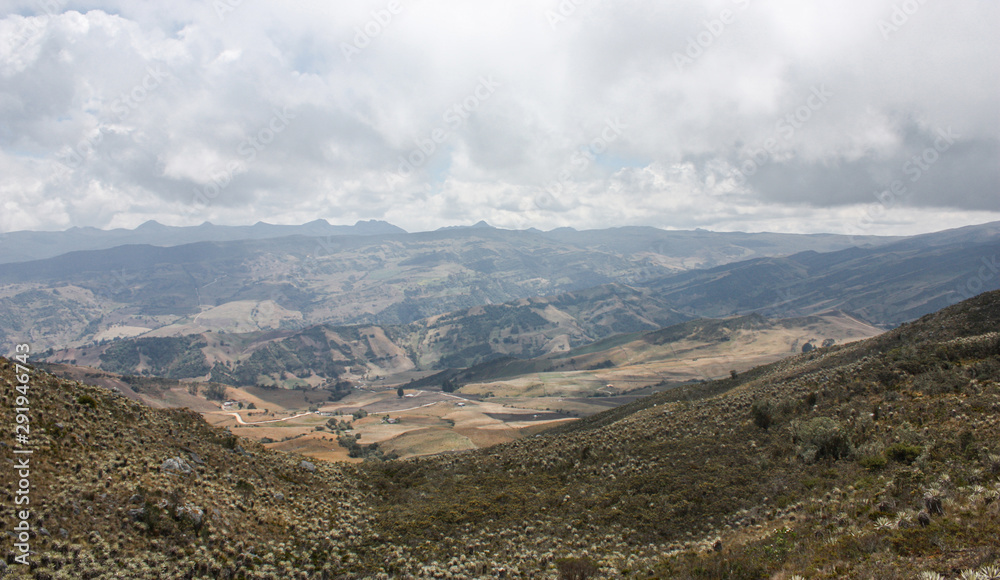 Sumapaz Paramo's landscape near Bogotá. Colombia, with endemic plant 