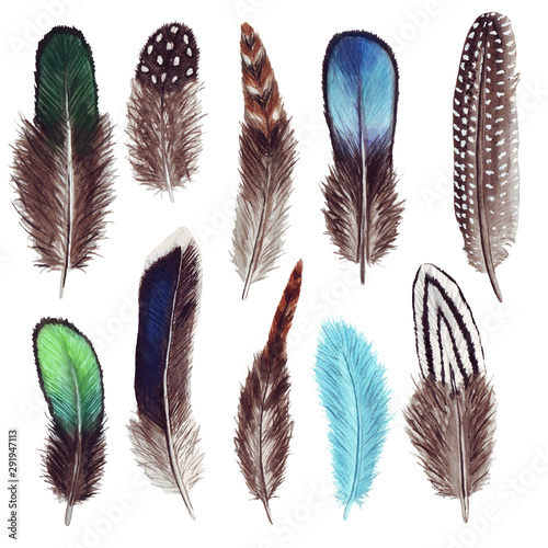 Hand drawn watercolor vibrant feather set. Boho style. illustration isolated on white. Bird fly design for T-shirt, invitation, wedding card.Rustic feathers Bright colors.  