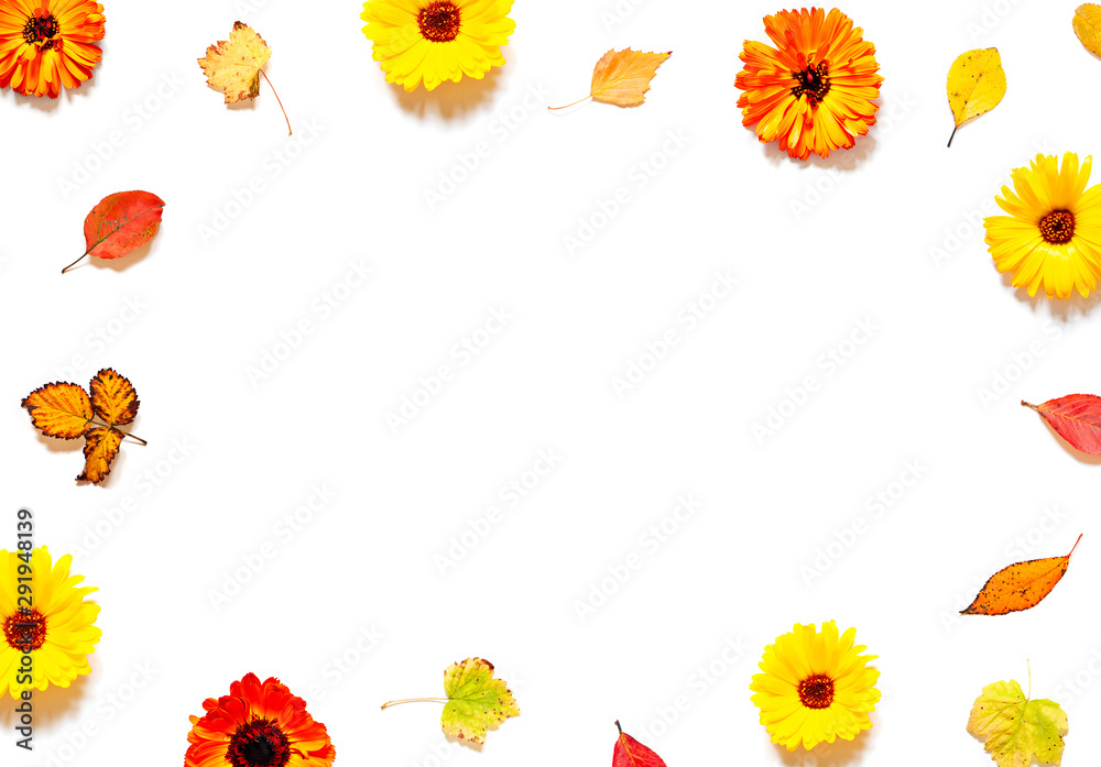 Colorful Autumn leaves and calendula flowers frame on the white background. Top view Colorful Autumn leaves and calendula flowers frame on the white background. Top view