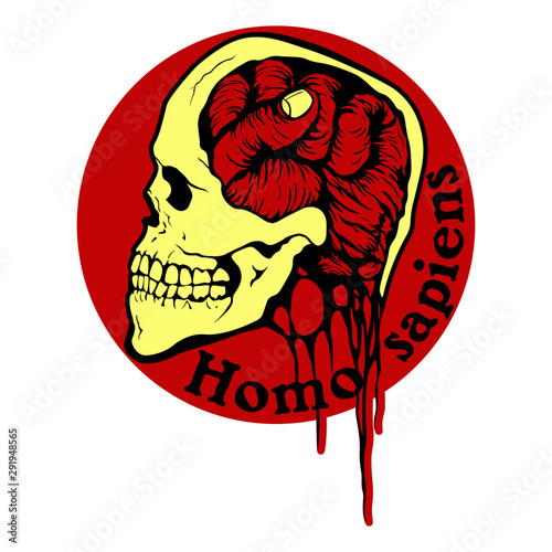 Photos Homo sapiens