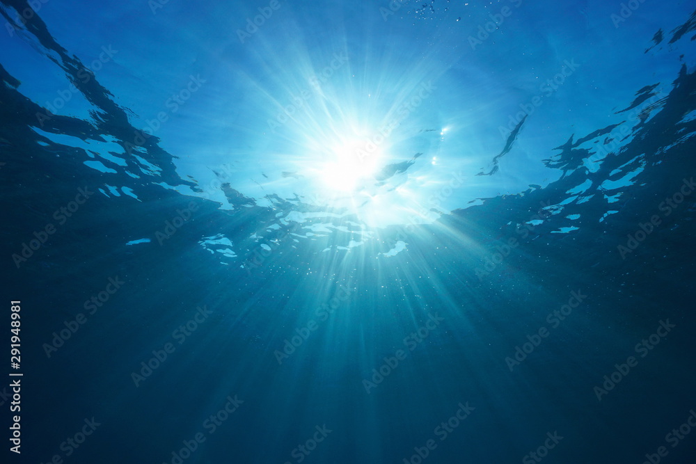 Sunlight underwater surface natural scene