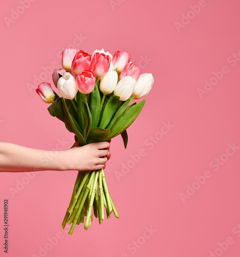 bouquet with tulips in hands #291948902