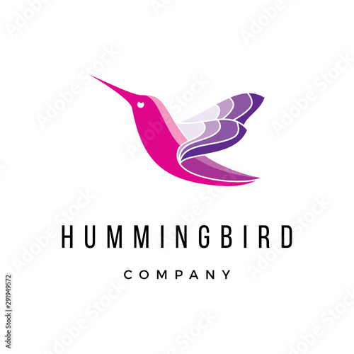 abstract Hummingbird line art animal custom Logo Design vector Inspirations