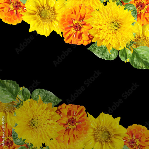 Fototapeta Naklejka Na Ścianę i Meble -  Beautiful floral background of  tsiniya and sunflower. Isolated