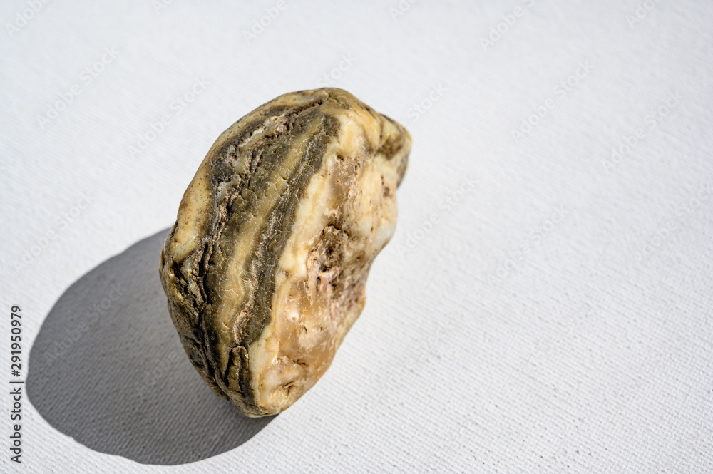 Prairie Agate from Buffalo Gap Nation Grassland, South Dakota