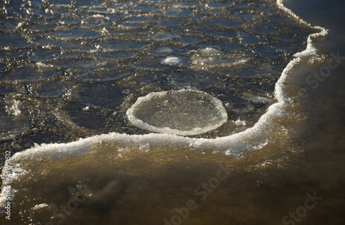edge of melting ice with ice circles (pan ice) in sunshine
