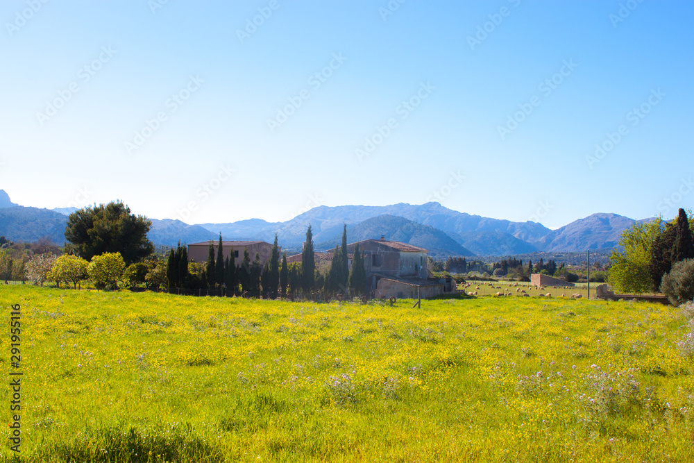Mallorca panorama view with Mountains and green forest and blue sky and houses 
