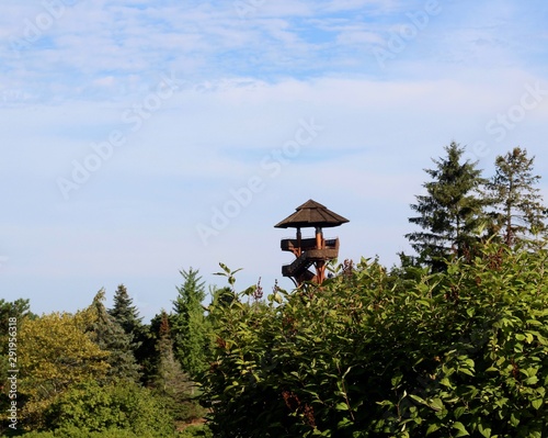 The tall wood overlook in the background over the trees. © Al