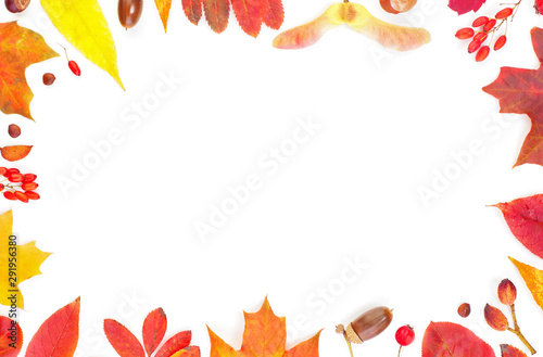 Autumn border. Fall leaves composition isolated on white background