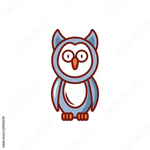 barn owl with eyes yellow on white background