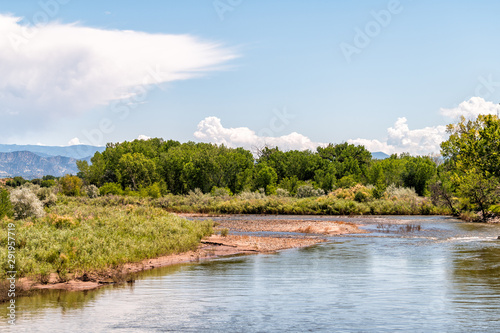 Eagle river landscape view during summer in Colorado with blue water and green plants