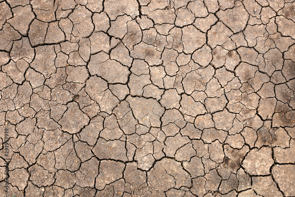 Ground cracked ground background image in dry season Ground cracked ground background image in dry season