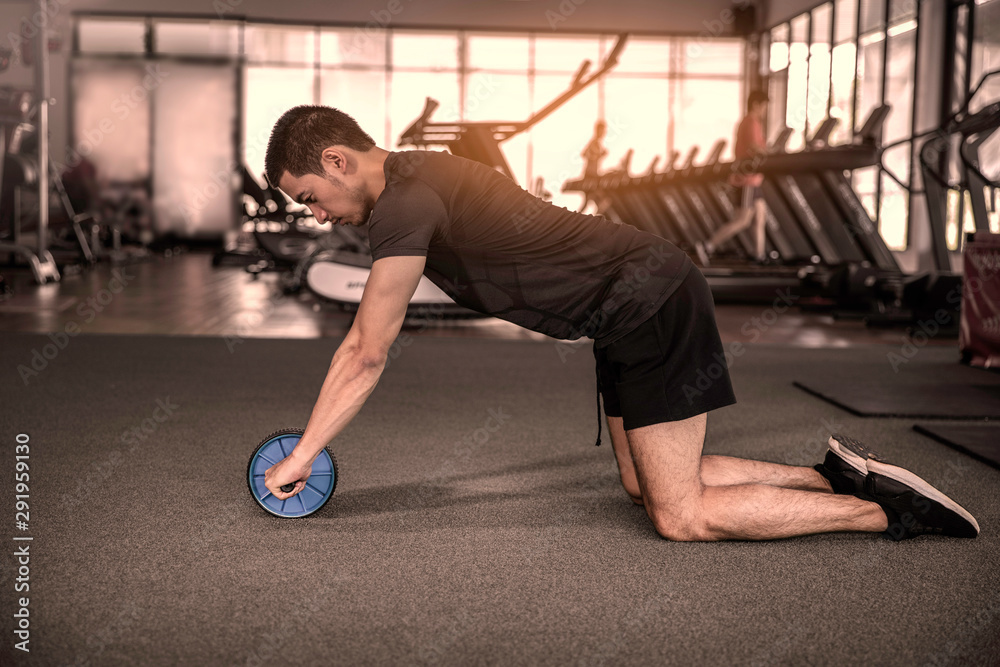 Ab wheel rollout without wheel best sale