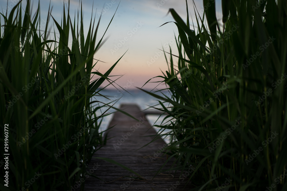 A path leading to a lake.