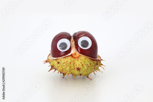 Kastanienmännchen
