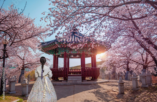 Photography Young Girls with Korean national dress at Spring time Seoul South Korea