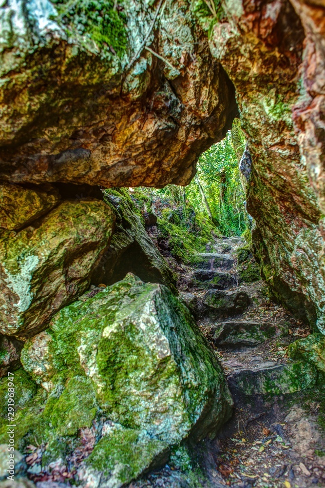 a path through the rocks in a relict forest a path through the rocks in a relict forest