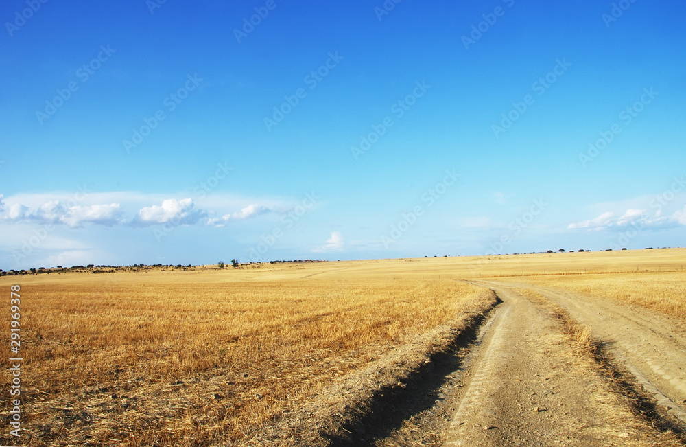 landscape of alentejo plain, south of portugal