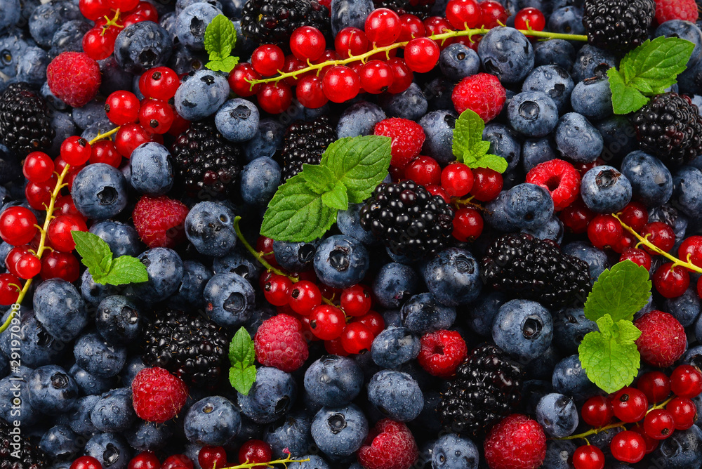 Blackberry, raspberry, blueberry, red currant and mint background. Blackberry, raspberry, blueberry, red currant and mint background.