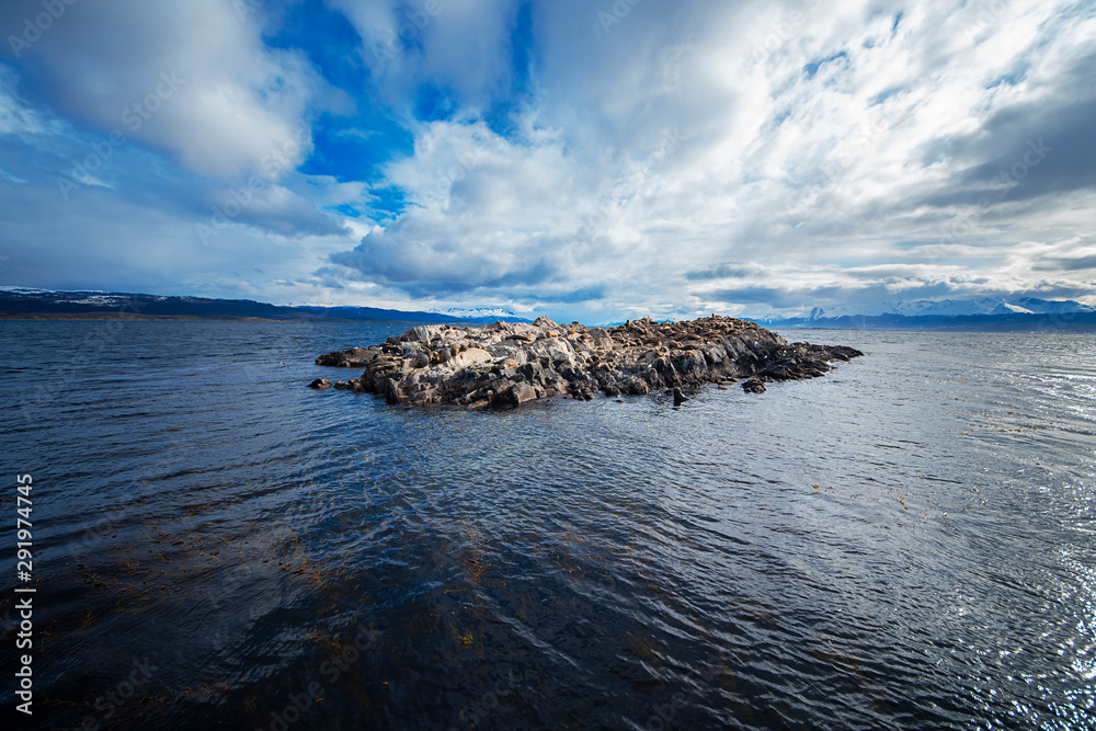 sea lion and rocks