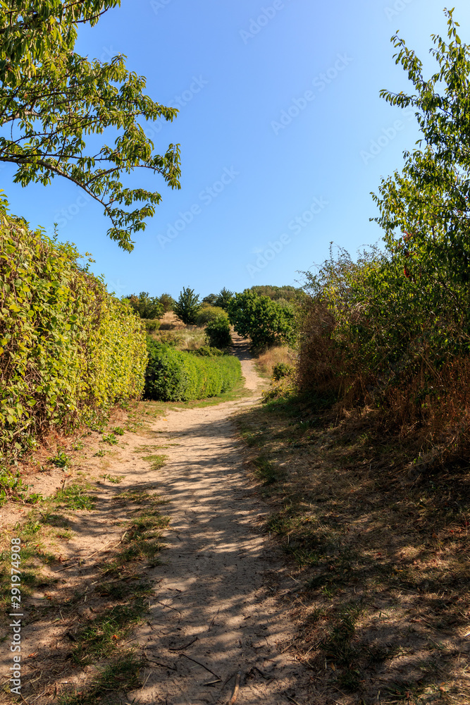 Wanderweg in Thiessow auf der Insel Rügen Wanderweg in Thiessow auf der Insel Rügen