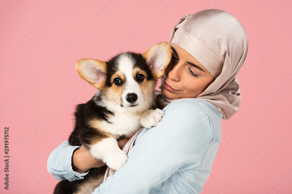 happy arabic girl in hijab holding cute corgi puppy, isolated on pink happy arabic girl in hijab holding cute corgi puppy, isolated on pink