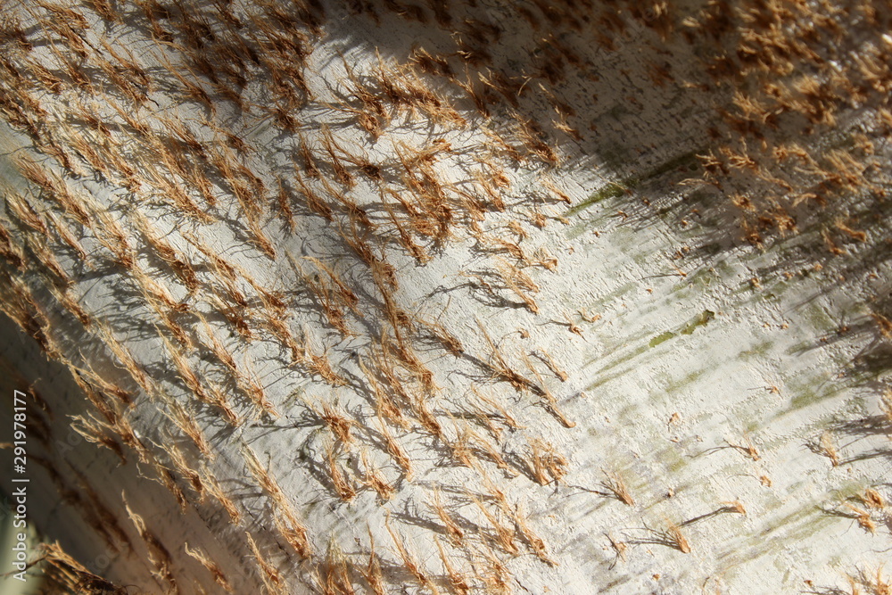 texture of stone texture of stone