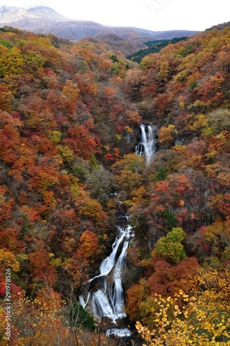 Kirifuri fall, one of the most famous in Japan photo