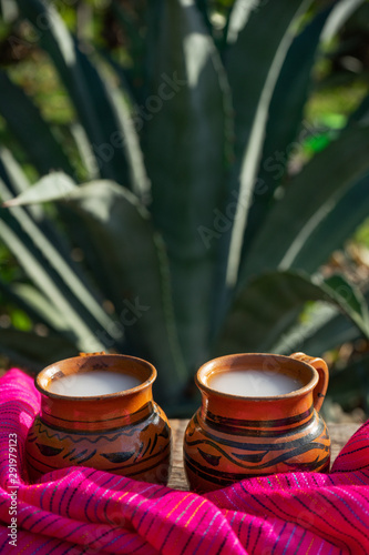 Mexican fermented beverage called  Pulque  in clay cups with agave cactus