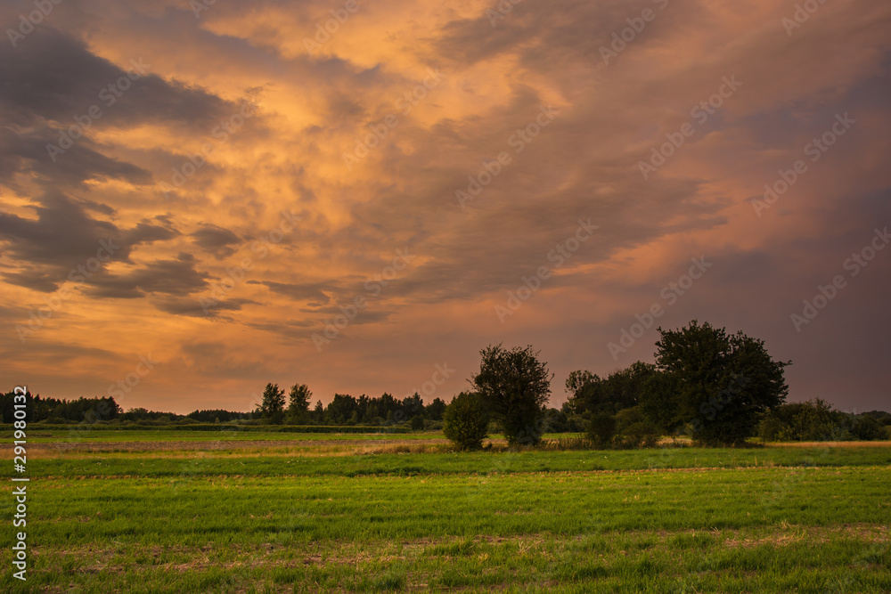 Green rural field, bushes on the horizon and colorful clouds