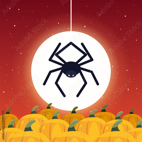 creepy spider animal with moon in scene of halloween