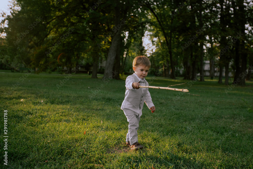 A little boy playing with a stick in a beautiful green field A little boy playing with a stick in a beautiful green field