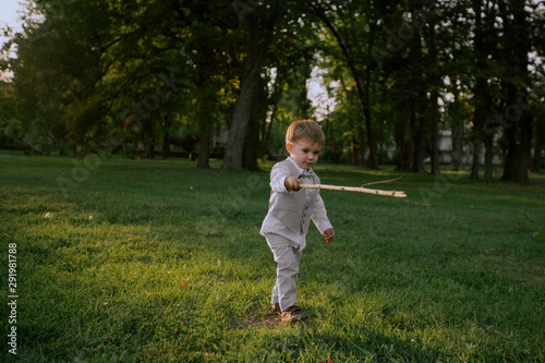 A little boy playing with a stick in a beautiful green field © VisionPro