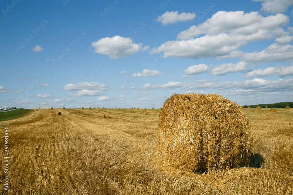 Round straw bales in russian fields on sunset