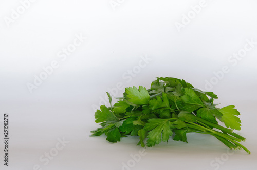green parsley on a white background