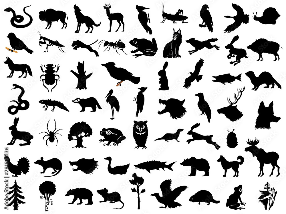 Naklejka premium Big set of vector silhouettes of animals, plants and landscapes